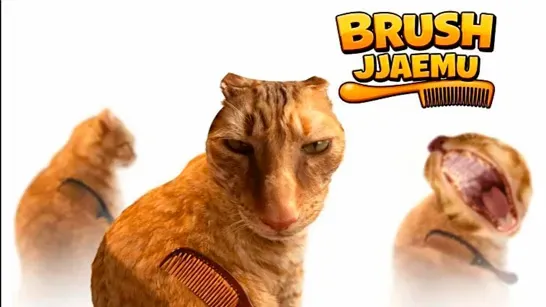Brush Jjaemu