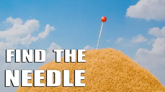 Find the Needle
