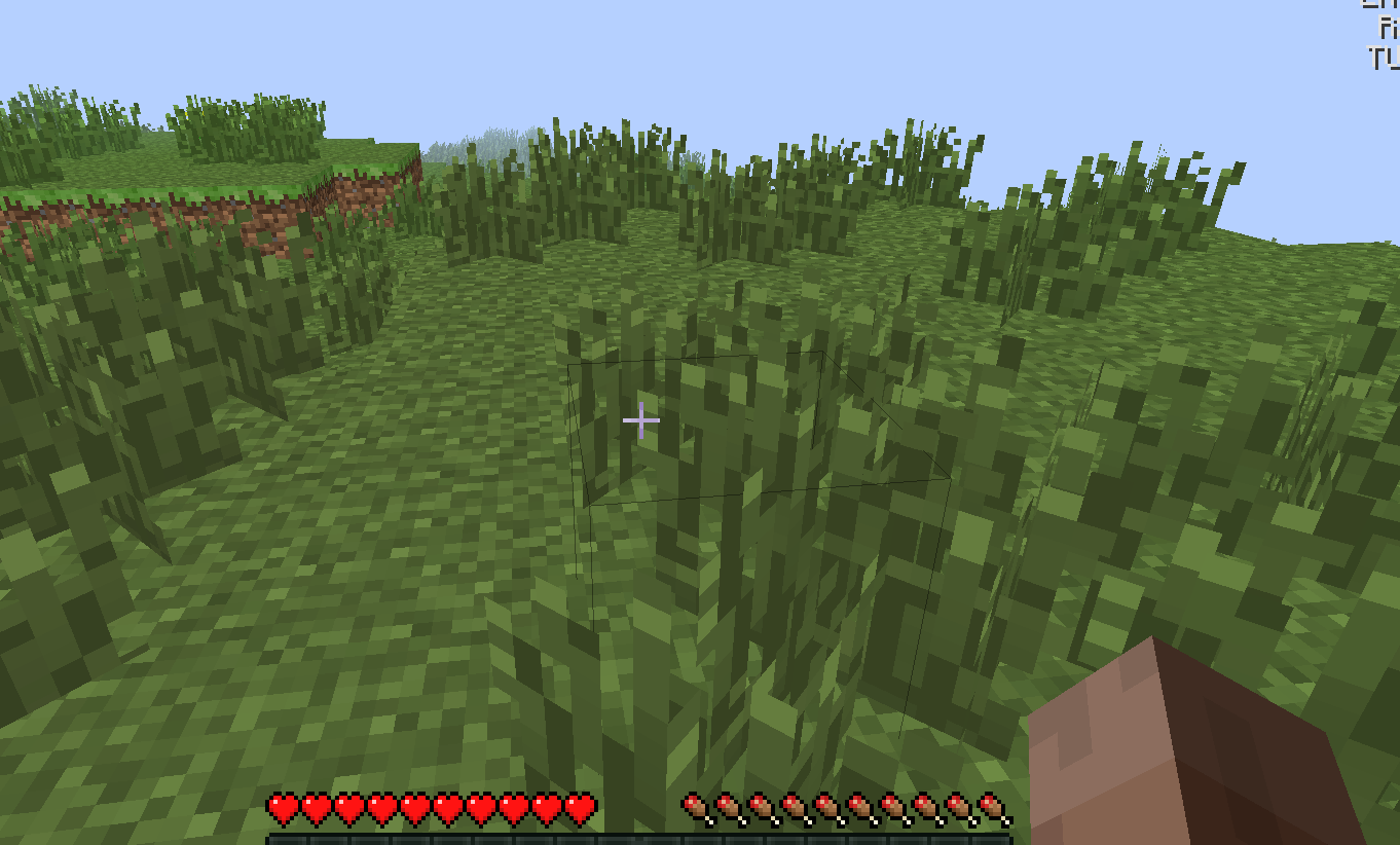 Minecraft Screenshot