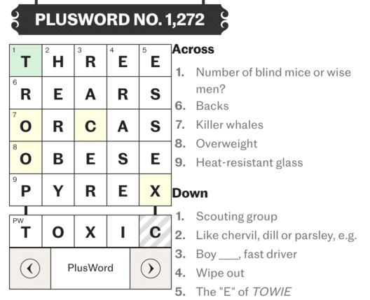 PlusWord Demo